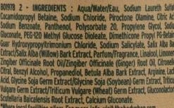 Anti-Schuppen Shampoo mit Ingwer- und Seidenproteinen für trockene und schuppige Kopfhaut