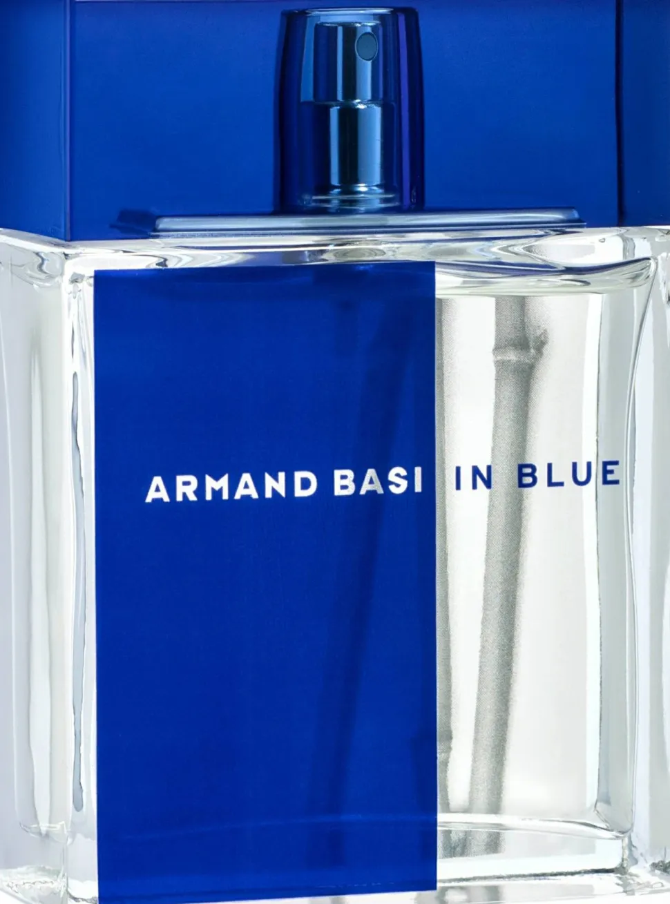 Armand Basi In Blue