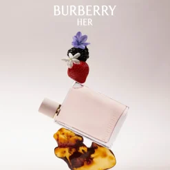 Burberry Her