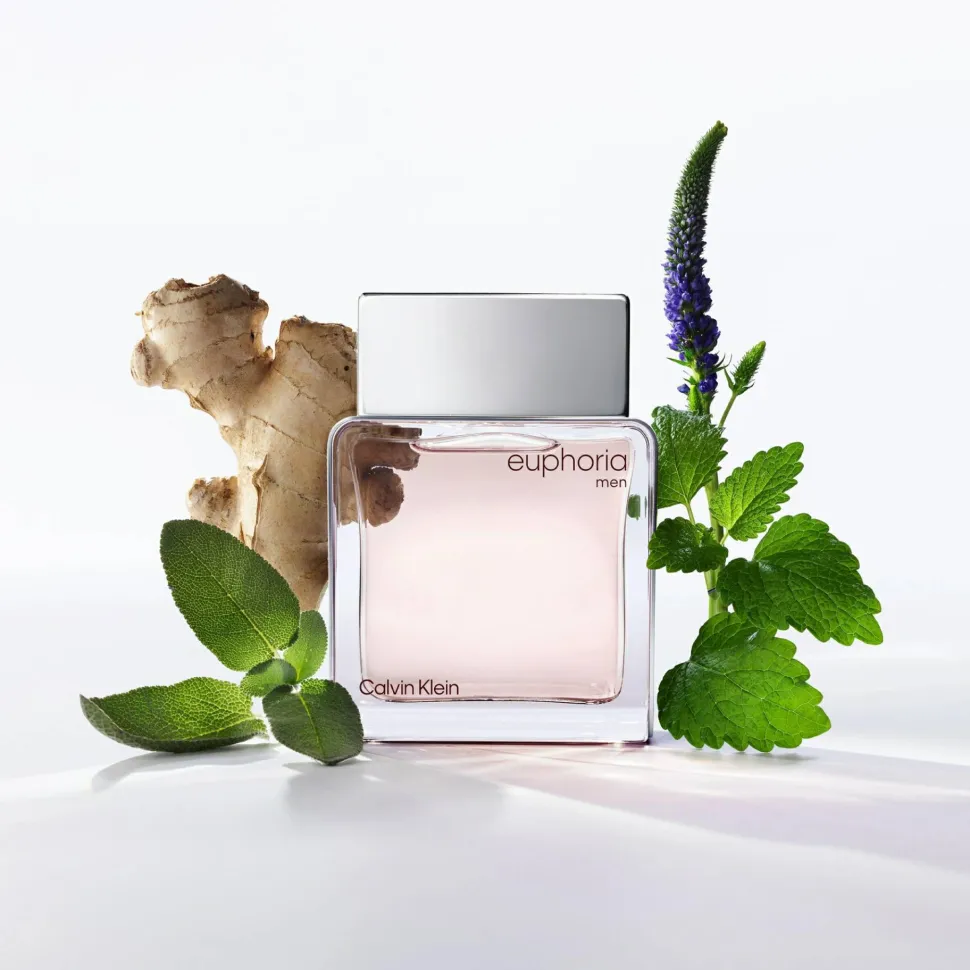 Calvin Klein Euphoria Men