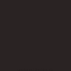 Colour Intense Profi Touch Eyebrow