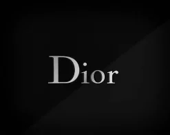Dior Longwear Couture Shimmer Rouge Blush