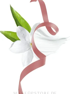Ferragamo Signorina