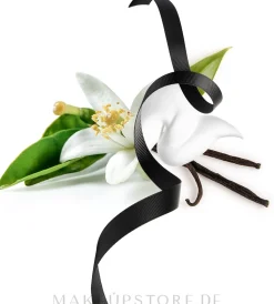 Ferragamo Signorina Misteriosa