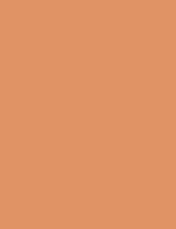 Flormar Bronzing Powder
