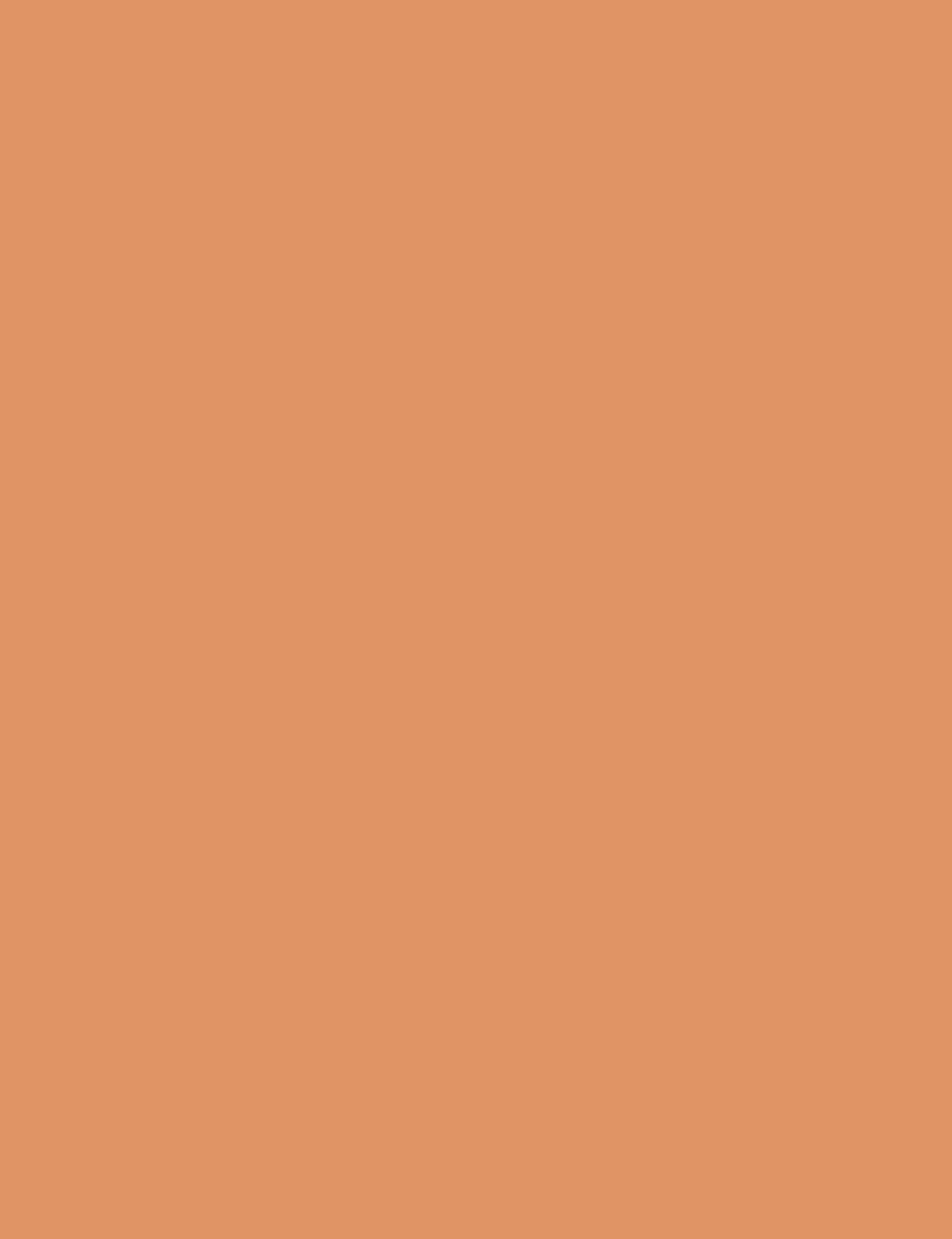 Flormar Bronzing Powder