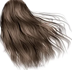 Haarfarbe mit Arganöl