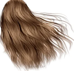 Haarfarbe mit Arganöl