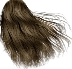 Haarfarbe mit Arganöl