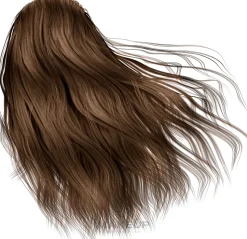 Haarfarbe mit Arganöl