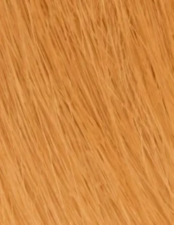 Haar-Toner ohne Ammoniak