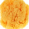 Hypoallergener natürlicher Seeschwamm für Kinder