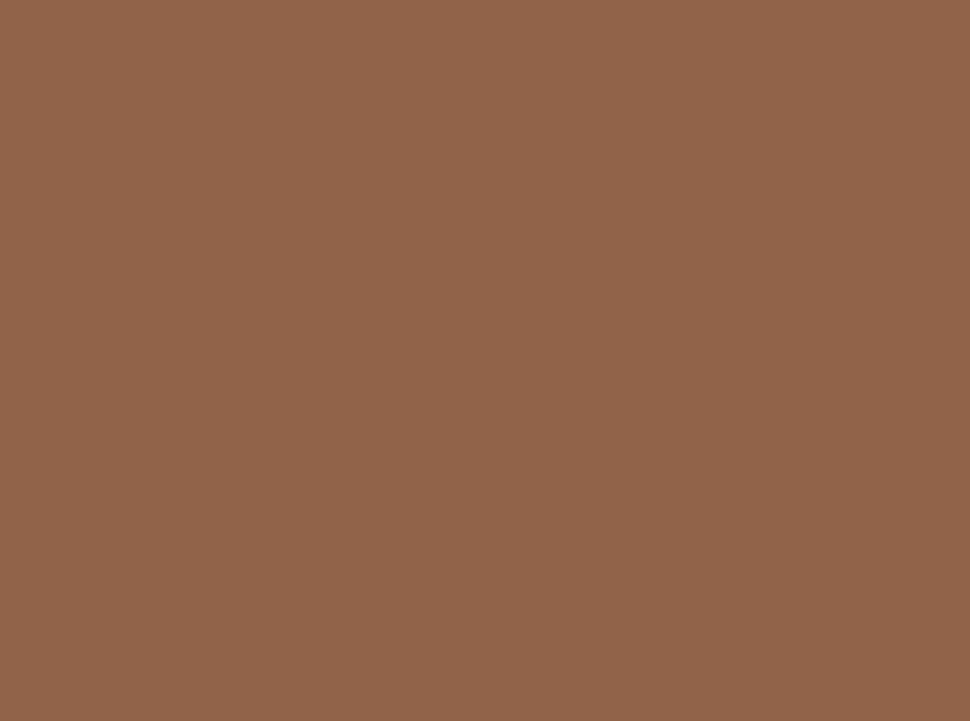 Inglot Cream Stick Bronzer