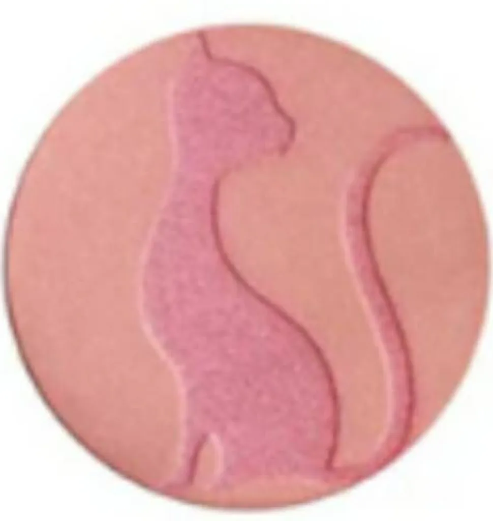 J.Cat Beauty Love Struck Blusher + Bronzer