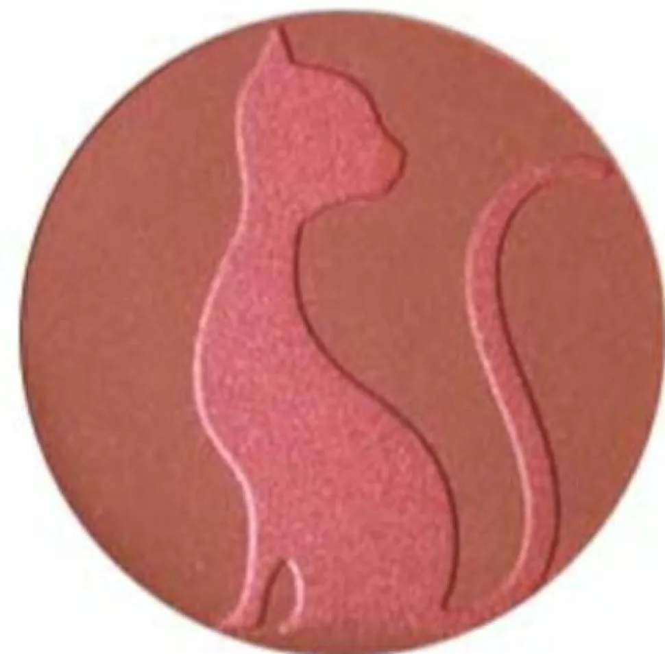 J.Cat Beauty Love Struck Blusher + Bronzer