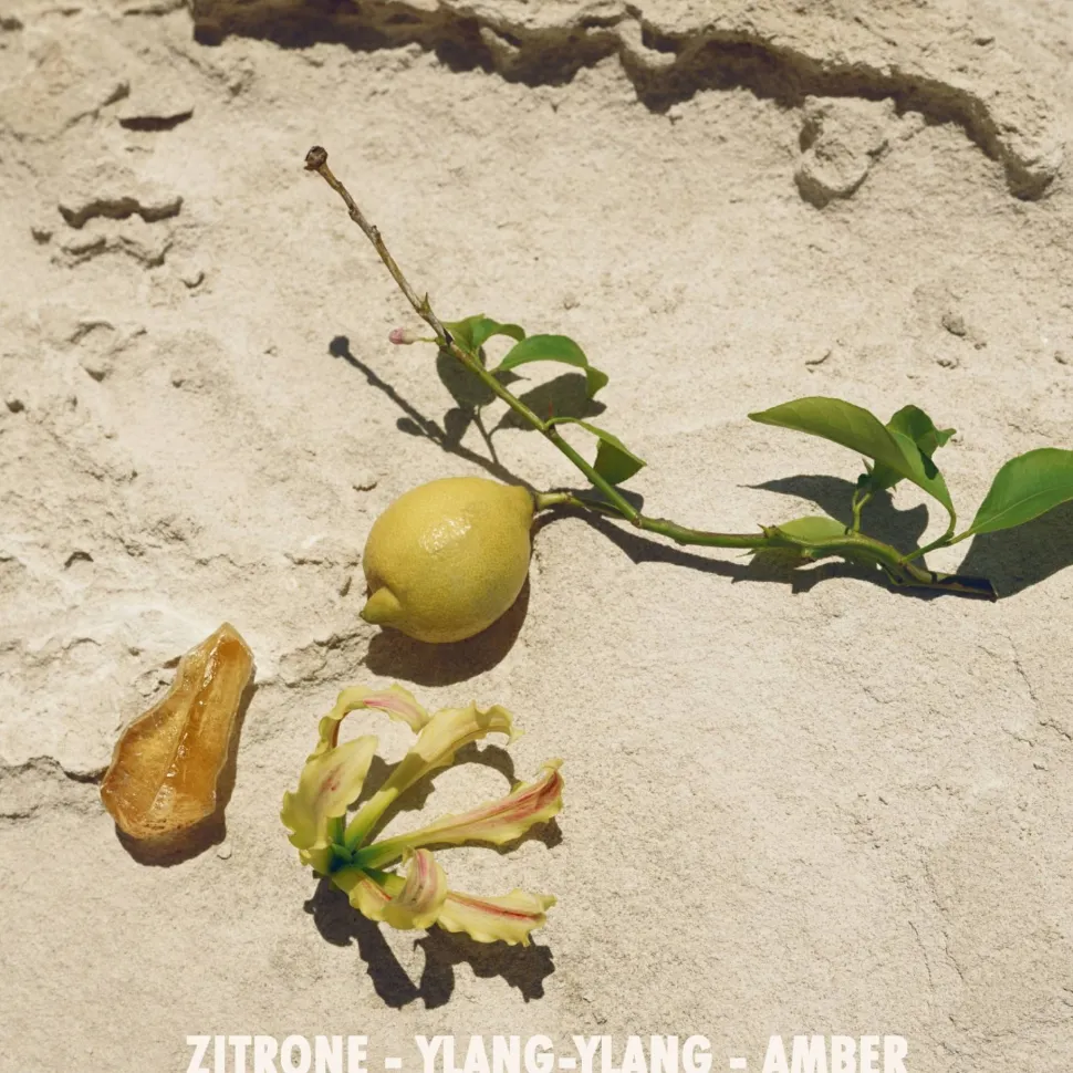 Jil Sander Sun
