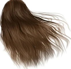 L'Oreal Paris Excellence