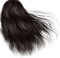 L'Oreal Paris Excellence