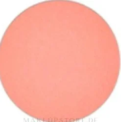 MAC Eye Shadow Pro Palette Refill Pan