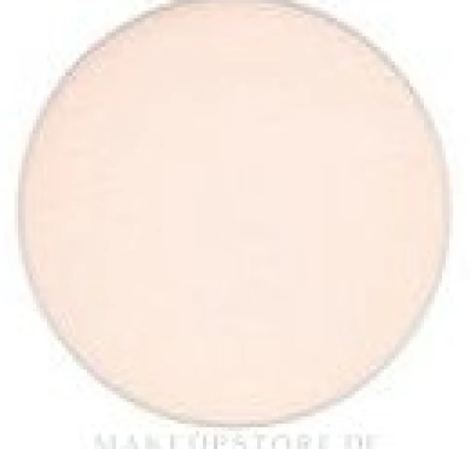 MAC Eye Shadow Pro Palette Refill Pan