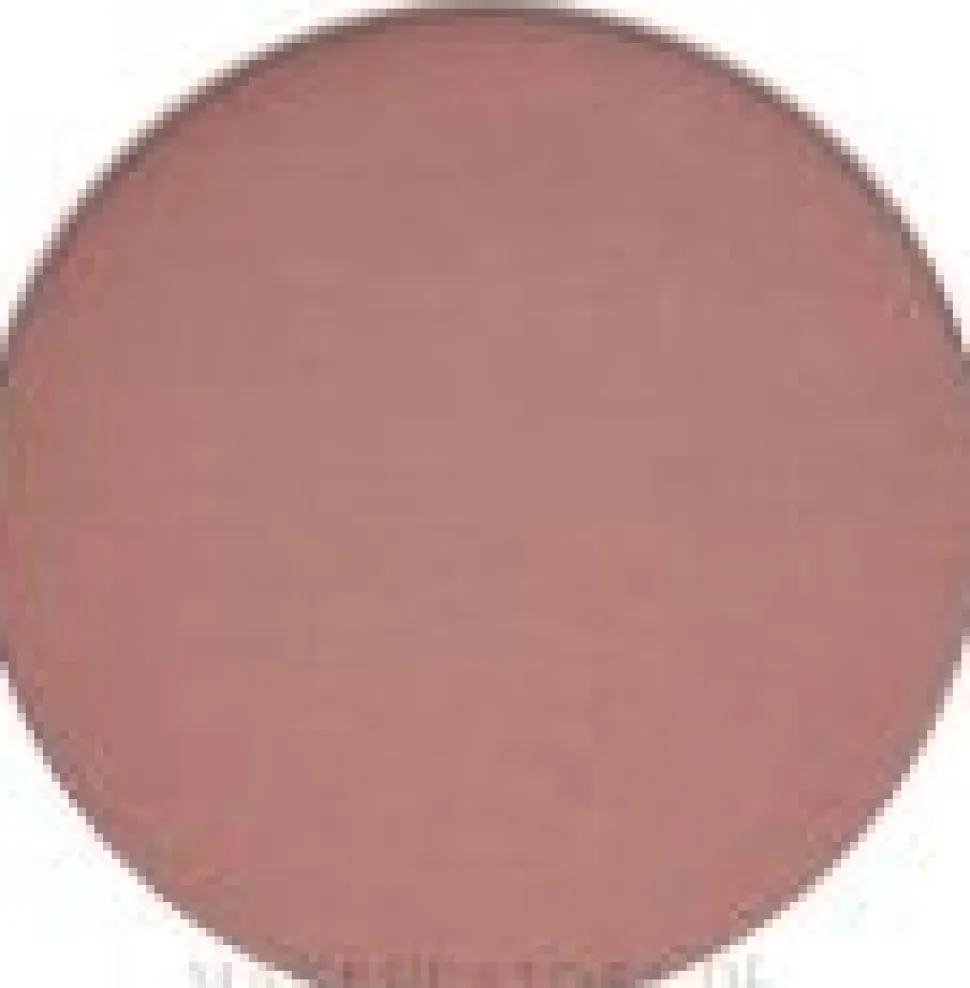 MAC Eye Shadow Pro Palette Refill Pan