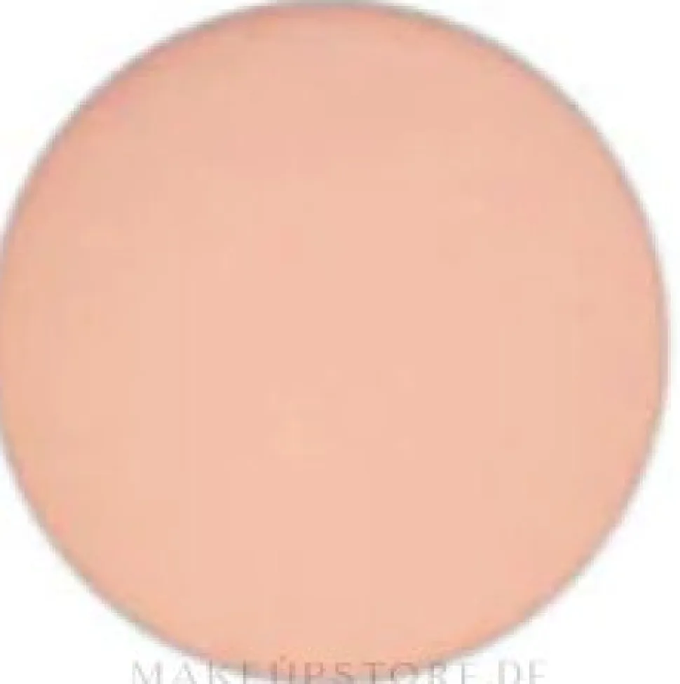 MAC Eye Shadow Pro Palette Refill Pan