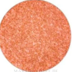 MAC Eye Shadow Pro Palette Refill Pan