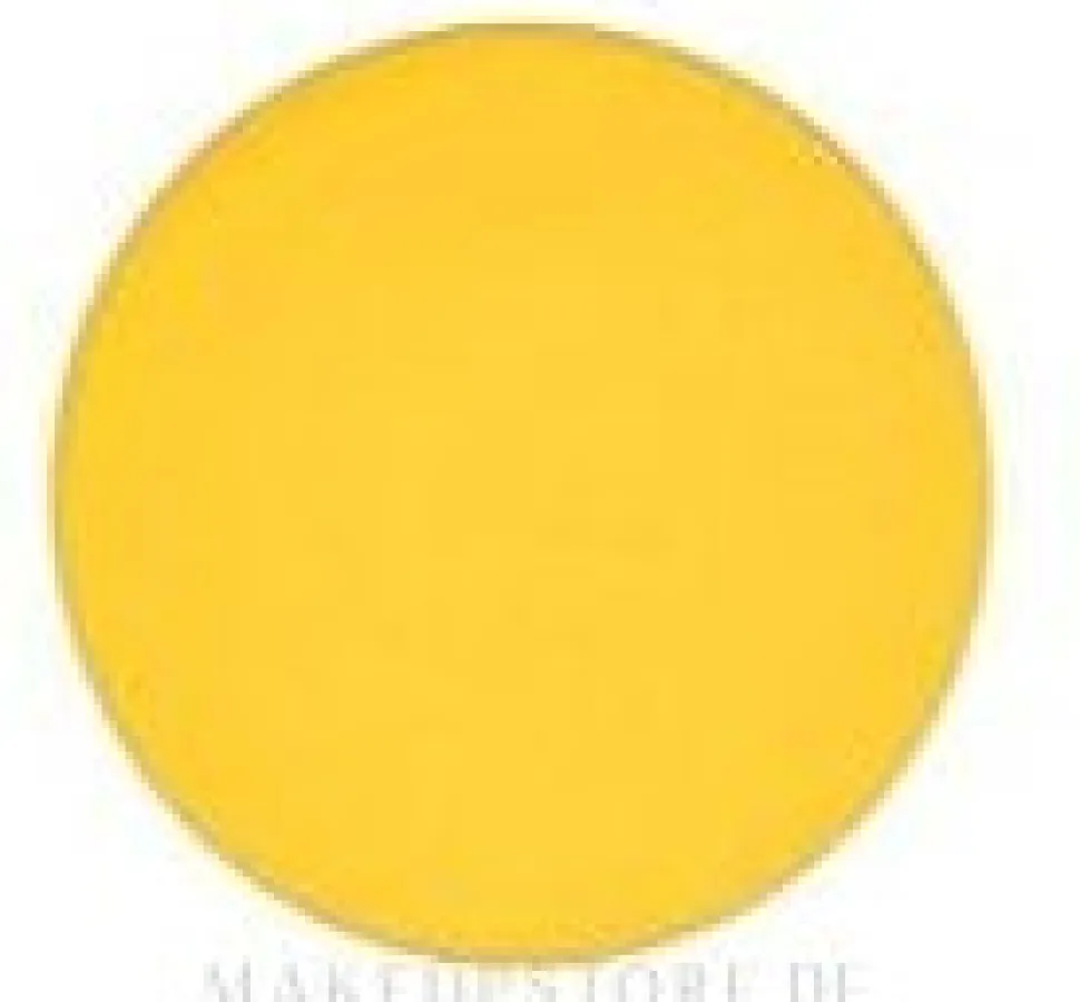 MAC Eye Shadow Pro Palette Refill Pan