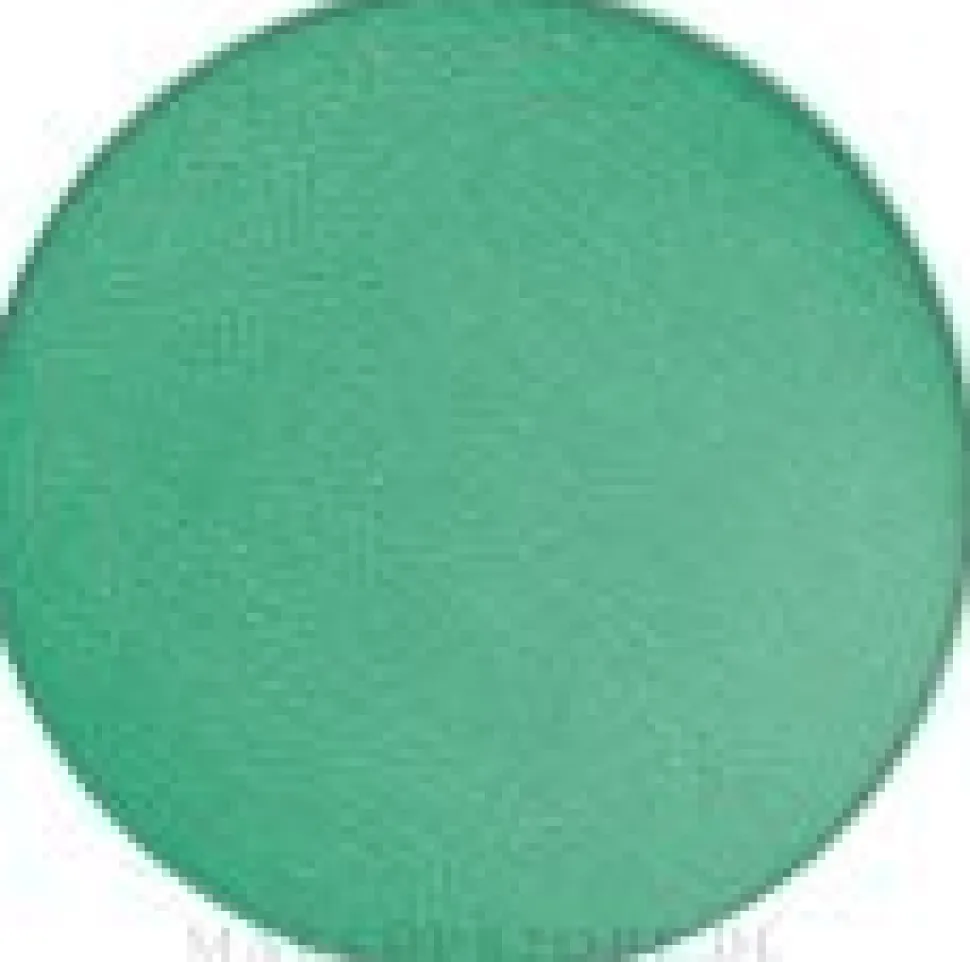 MAC Eye Shadow Pro Palette Refill Pan