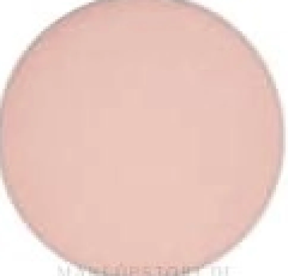 MAC Eye Shadow Pro Palette Refill Pan