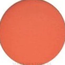 MAC Eye Shadow Pro Palette Refill Pan