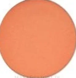 MAC Eye Shadow Pro Palette Refill Pan