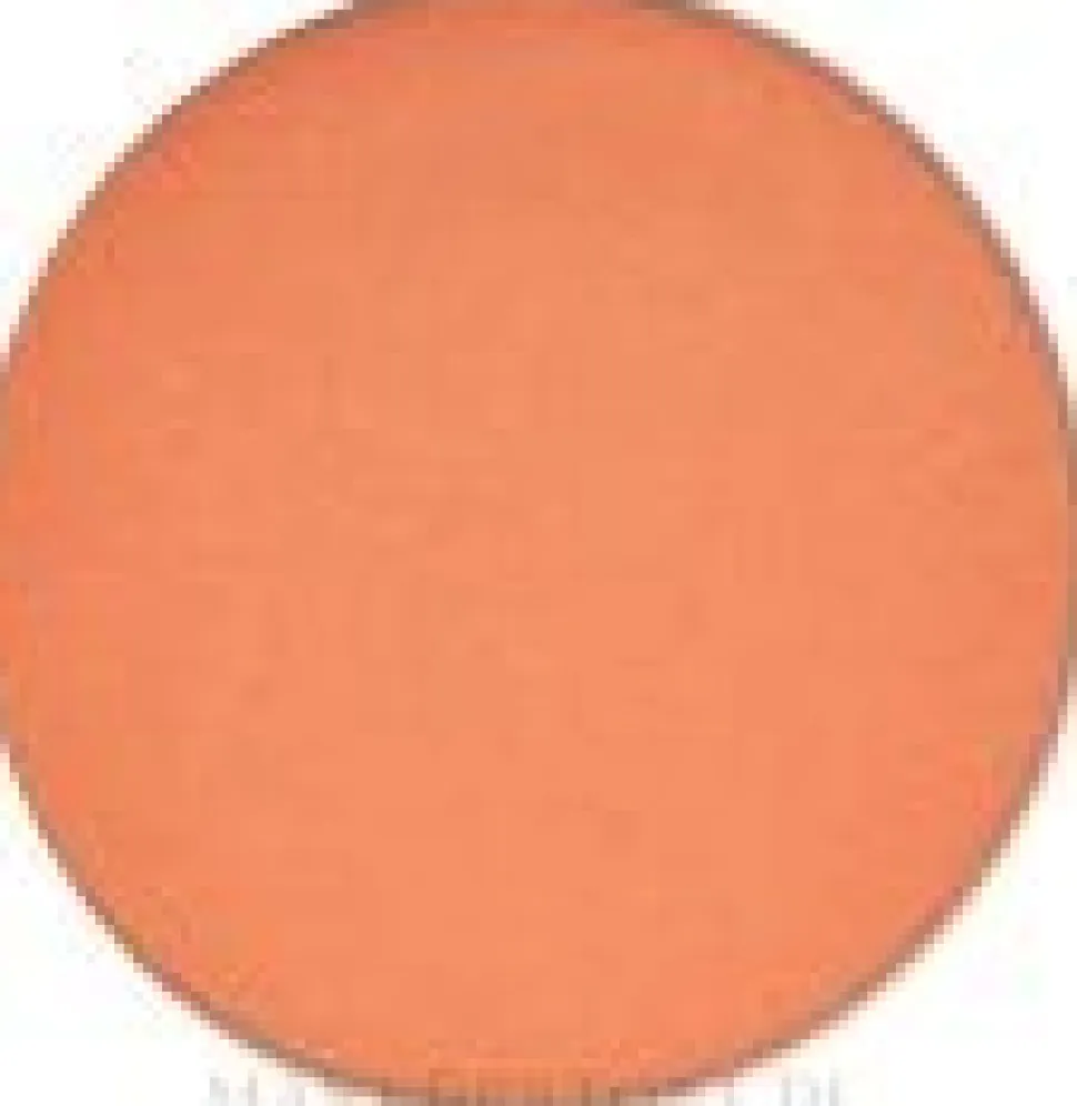 MAC Eye Shadow Pro Palette Refill Pan