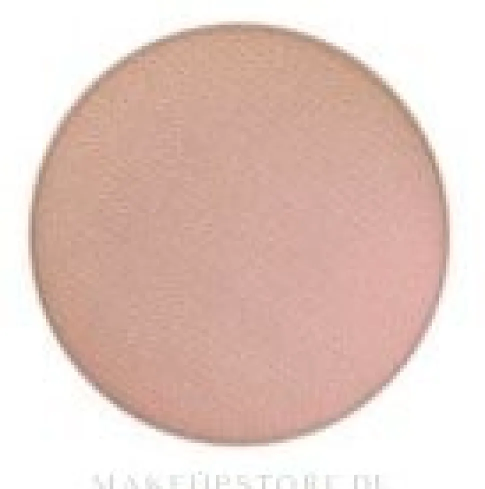 MAC Eye Shadow Pro Palette Refill Pan
