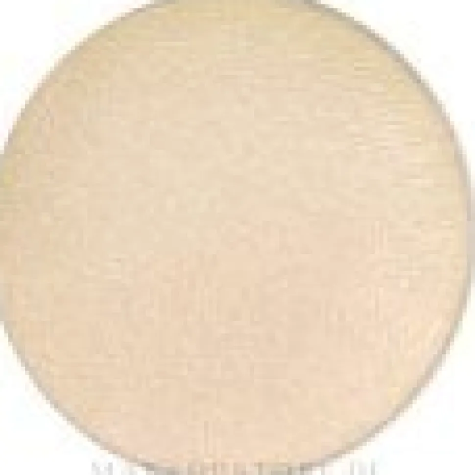 MAC Eye Shadow Pro Palette Refill Pan