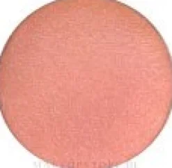 MAC Eye Shadow Pro Palette Refill Pan