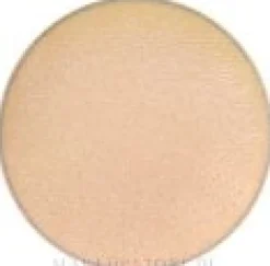 MAC Eye Shadow Pro Palette Refill Pan