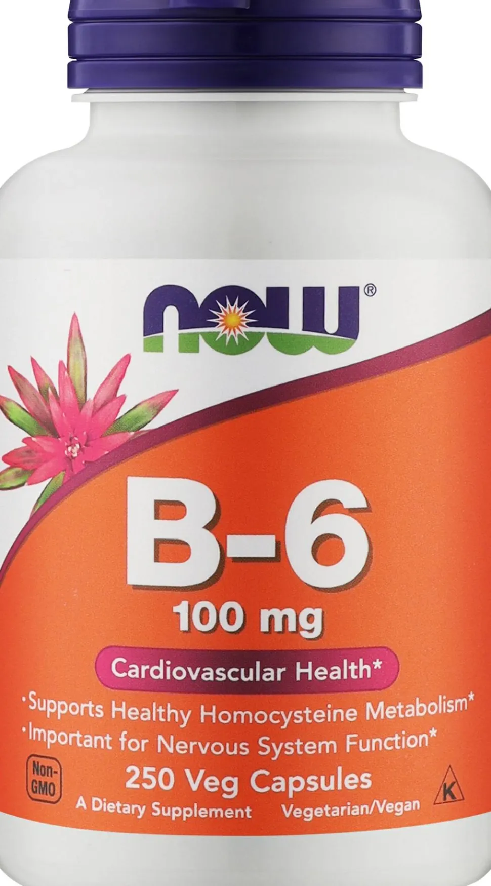 Nahrungsergänzungsmittel Vitamin B-6 100 mg