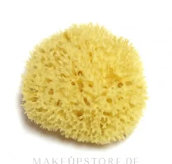 Natürlicher Meeresschwamm 15.24 cm