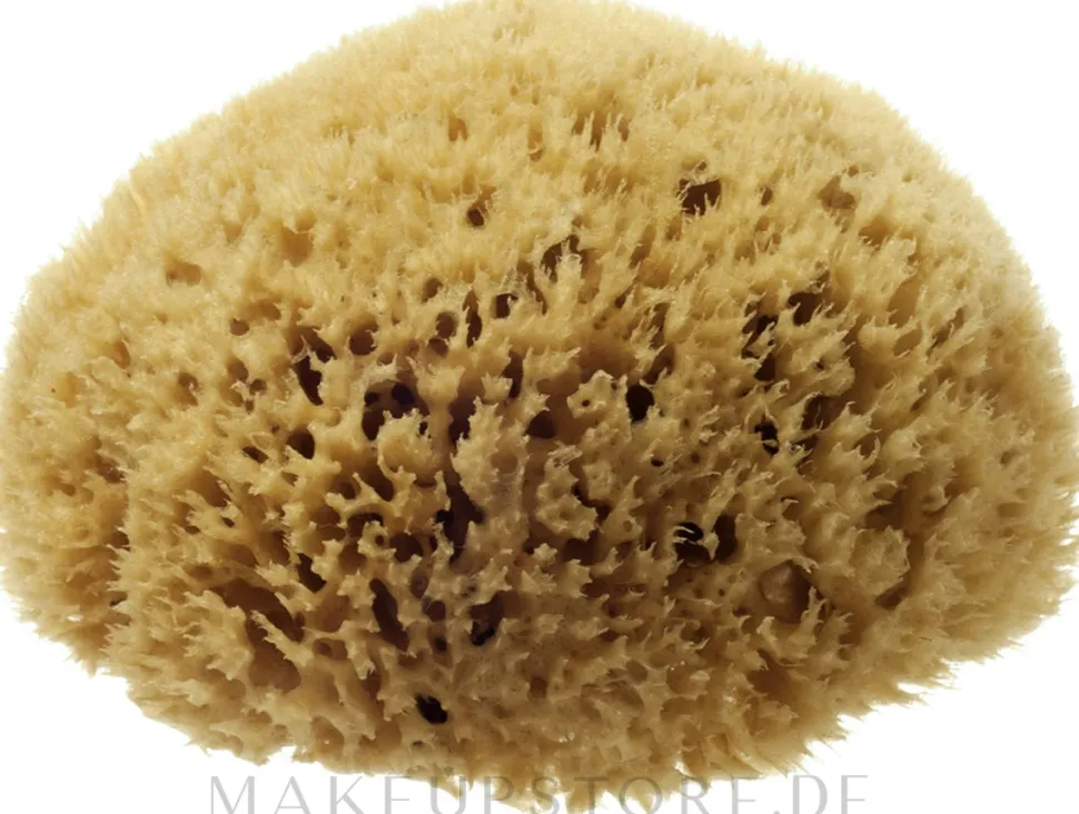 Natürlicher Meeresschwamm Honeycomb Sea Sponge 11.43 cm