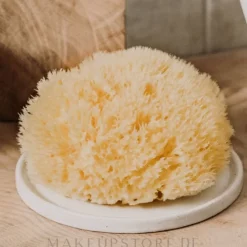 Natürlicher Meeresschwamm Honeycomb Sea Sponge 11.43 cm