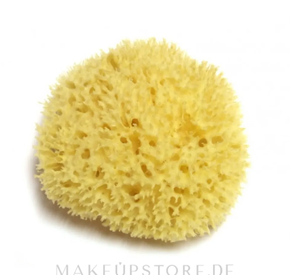 Natürlicher Meeresschwamm 14 cm