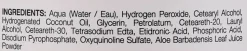 Oxidations-Emulsion mit Aloe 10V 3%
