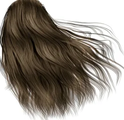 Permanente Haarfarbe