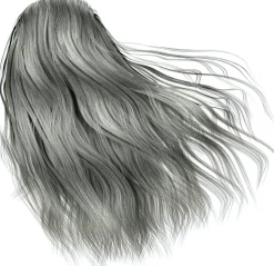 Permanente Haarfarbe
