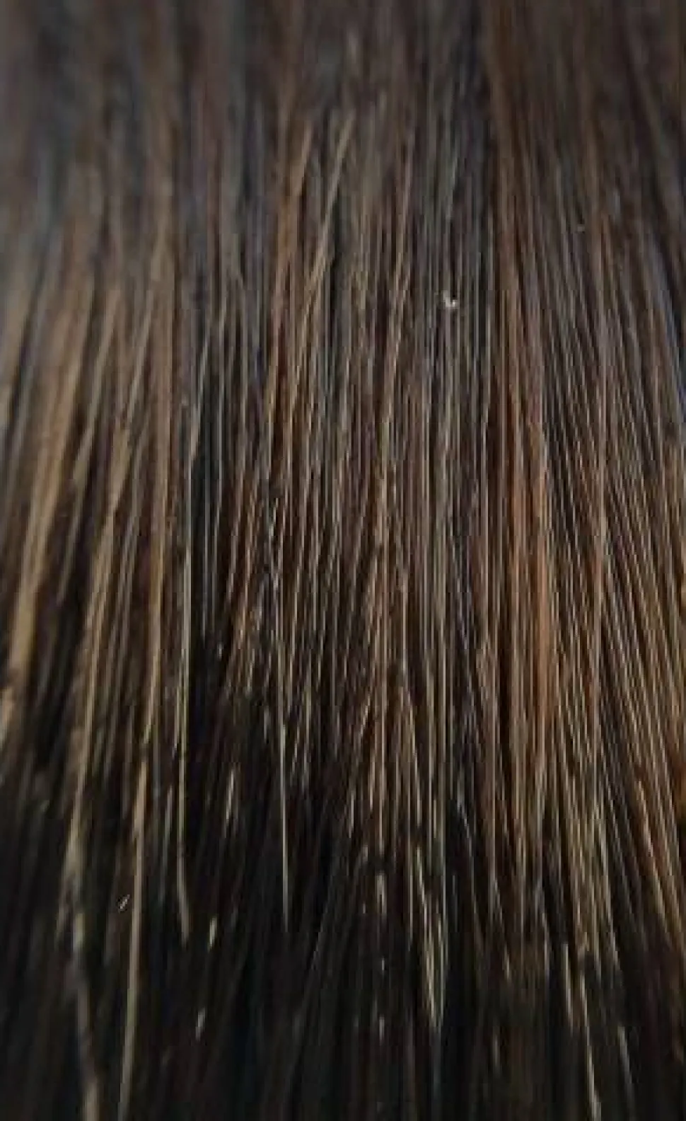 Permanente Haarfarbe