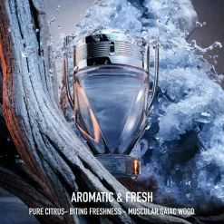 Rabanne Invictus