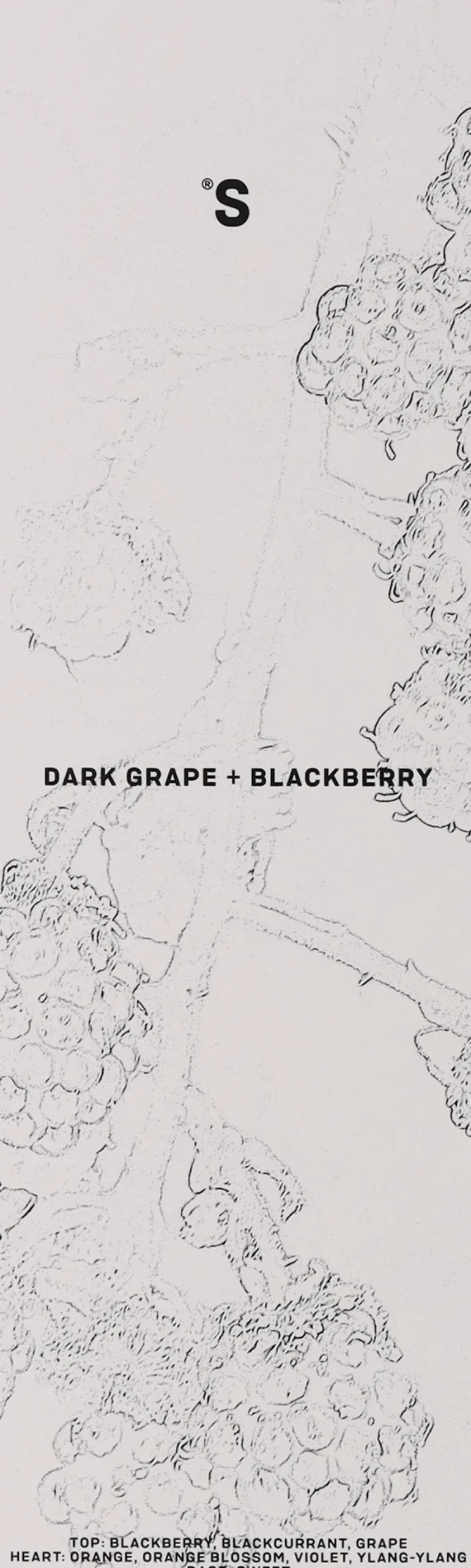 Raumerfrischer Dunkle Trauben und Brombeeren