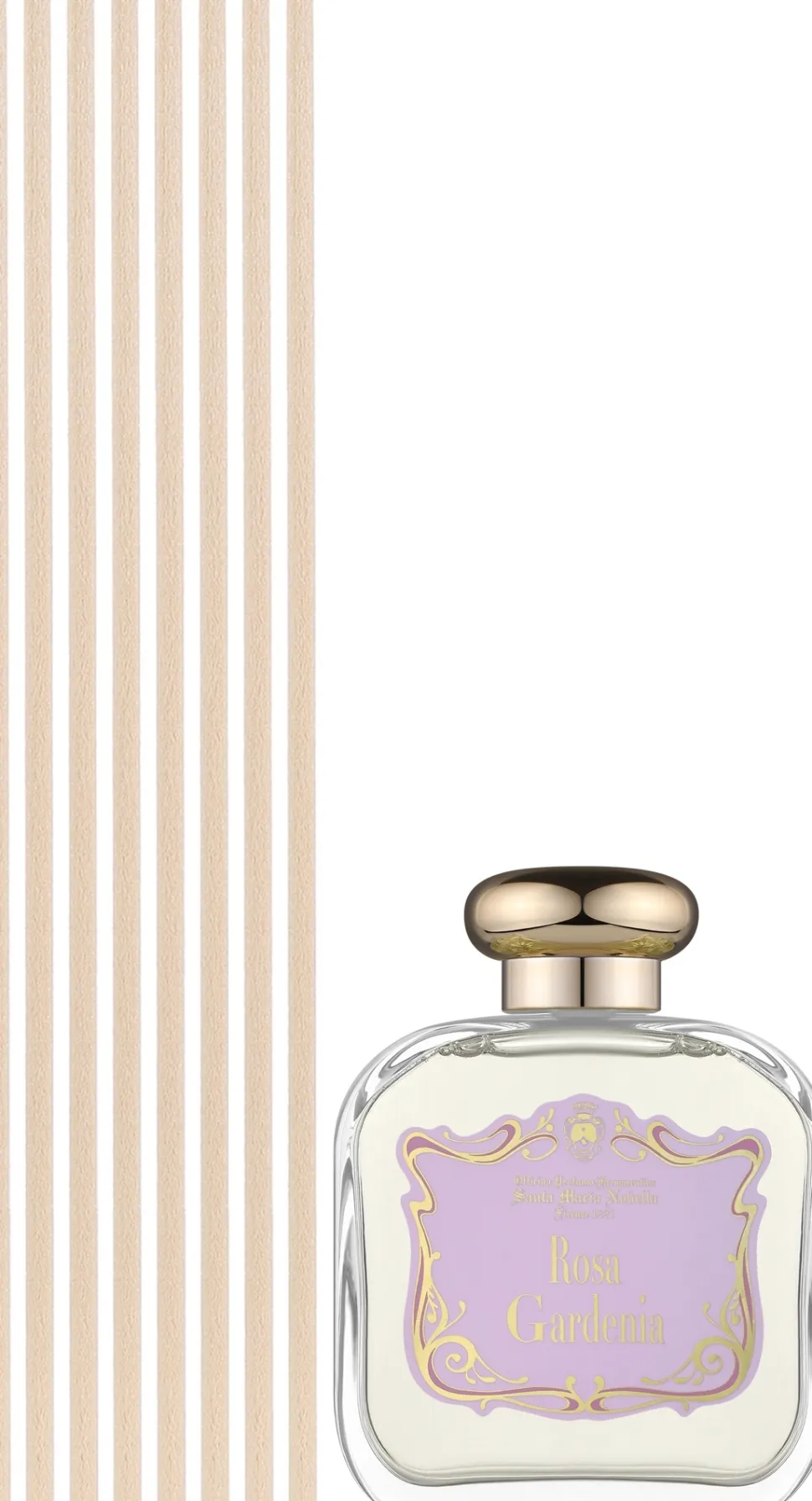Santa Maria Novella Rosa Gardenia