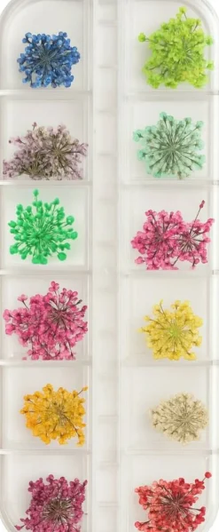 Set aus getrockneten Blumen für Nägel, 12 Farben